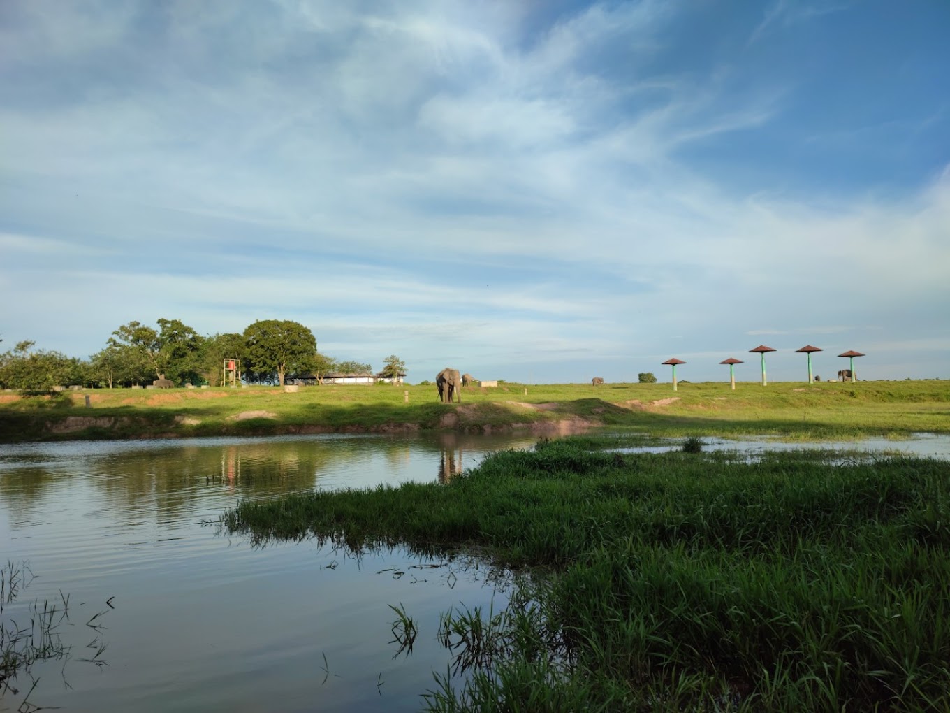 Taman Nasional Way Kambas Ikon Kota Lampung