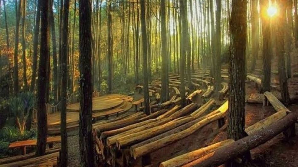 Tempat Wisata Menarik Sekitar Yogyakarta - Hutan Pinus Mangunan