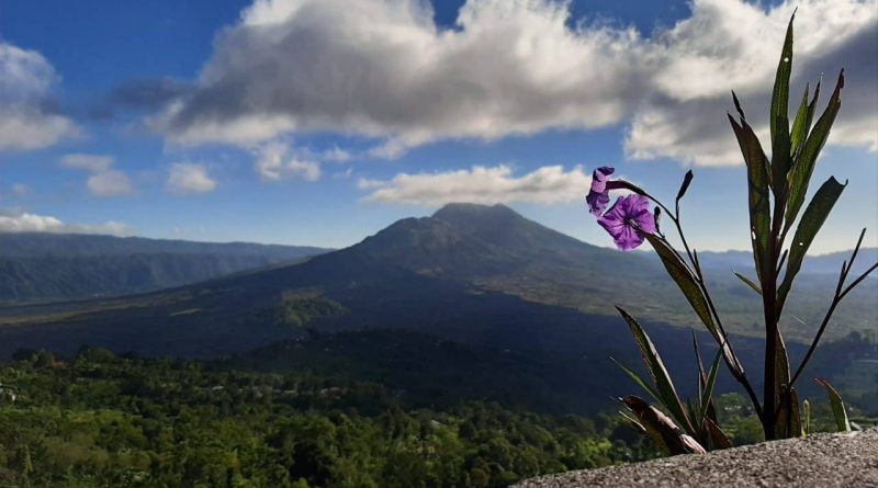 Lokasi Kintamani Di Bali Telah Menjadi Tempat Wisata Indonesia Yang Populer