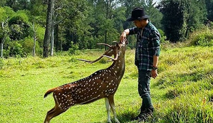 Wisata Alternatif Penangkaran Rusa Giri Jaya Cariu