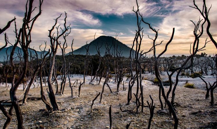 Wisata Alam Gunung Papandayan, Garut Jawa Barat