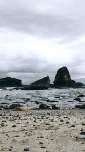 pantai papuma