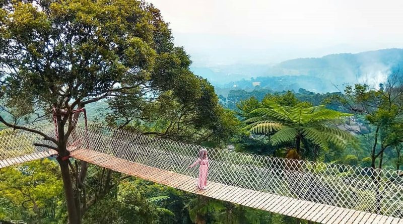 Wisata Bukit Halimun Salak Bogor
