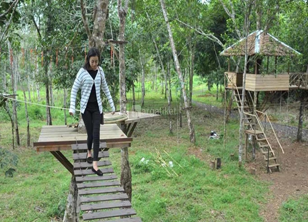 Lokasi Healing Di Kalimantan Selatan Terbaru - Rumah Pohon Cempaka