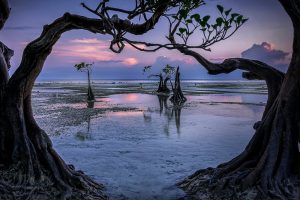 Pantai Walakiri