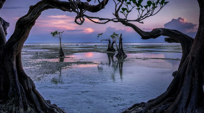 Pantai Walakiri