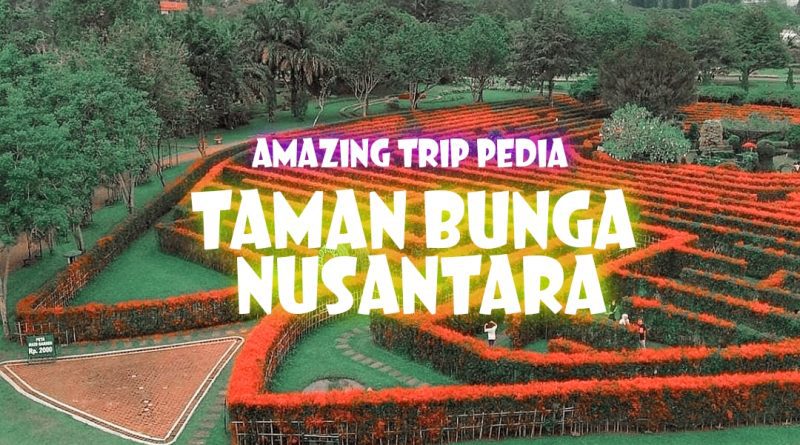 Wisata Taman Bunga Nusantara Puncak