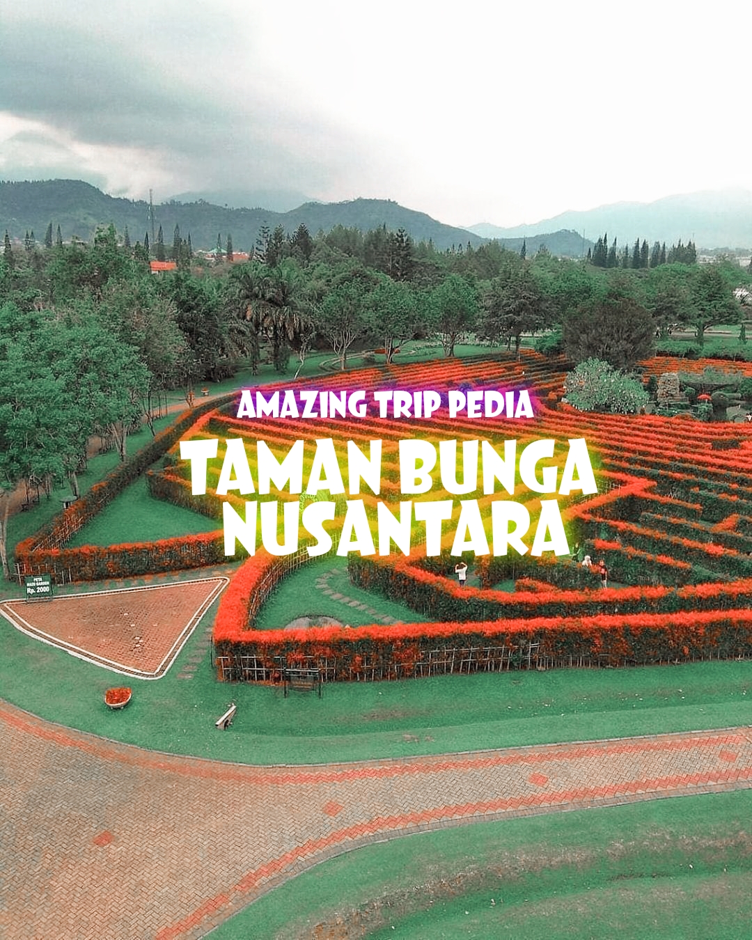 Wisata Taman Bunga Nusantara Puncak Rekomendasi Tempat Wisata Indonesia