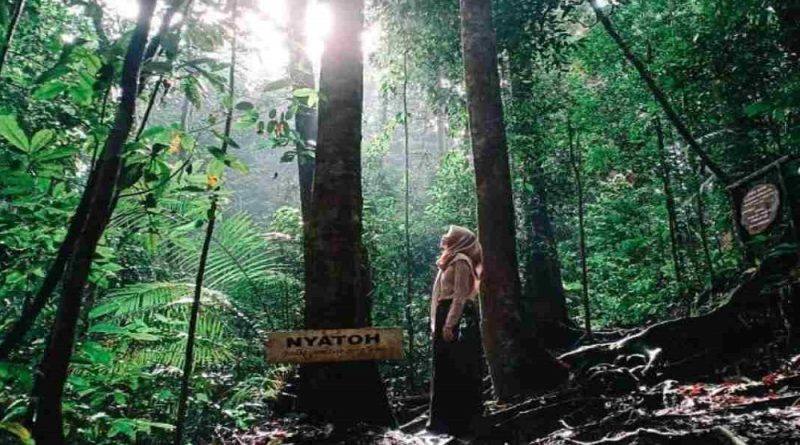 Rekomendasi Wisata Alam Dan Budaya Kalimantan Timur