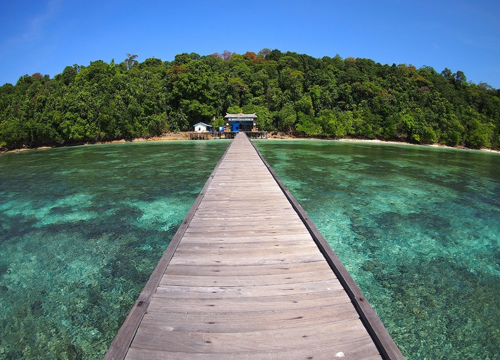 Rekomendasi Wisata Alam Perairan Kalimantan Timur 2023 - Pulau Kakaban