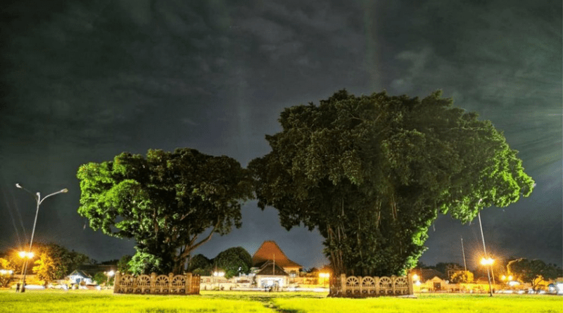 Mengenal Wisata Alun Alun Kidul di Yogyakarta