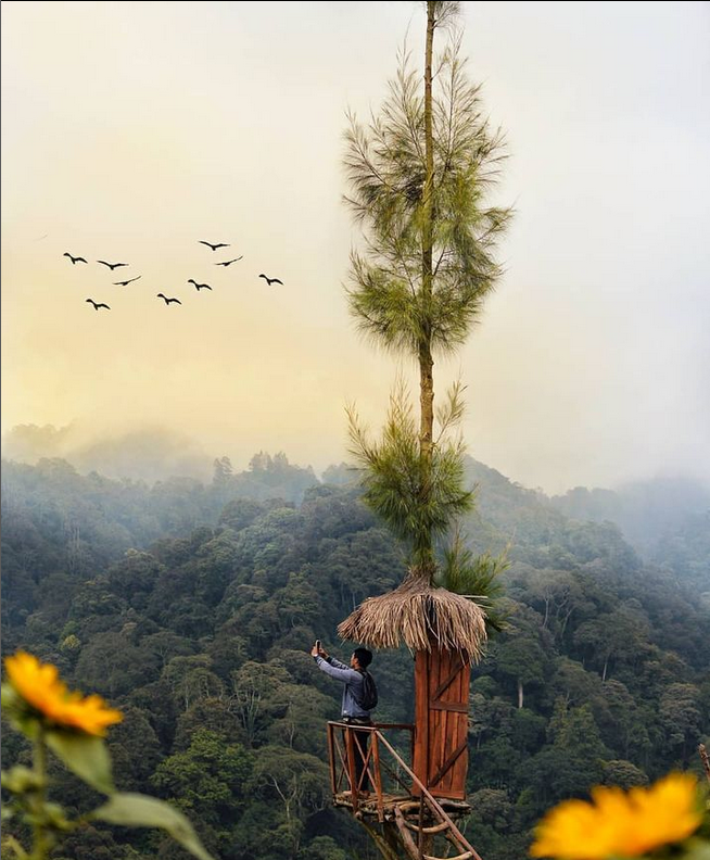 Coban Bidadari Tempat Indah Yang Menarik Banyak Pengunjung