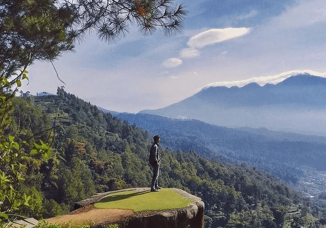 Daya Tarik Wisata Goa Pinus di Malang