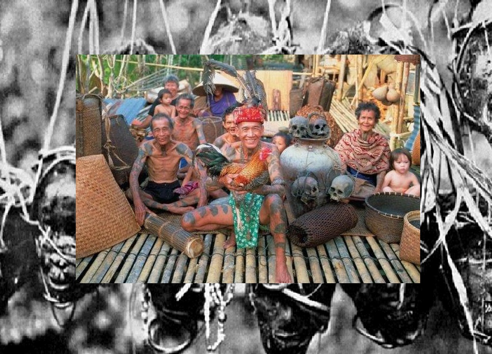Tradisi Ngayau dan Senjata Dayak Kalimantan - Tradisi Dayak