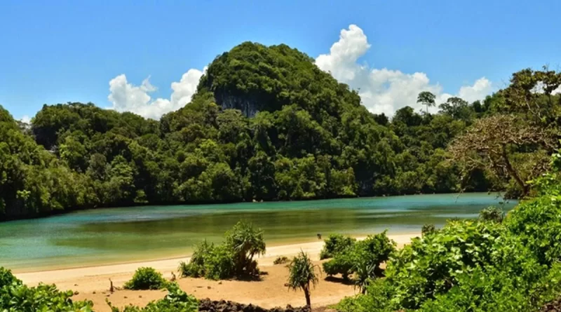Pulau Sempu Destinasi Wisata Cagar Alam Yang di Lindungi