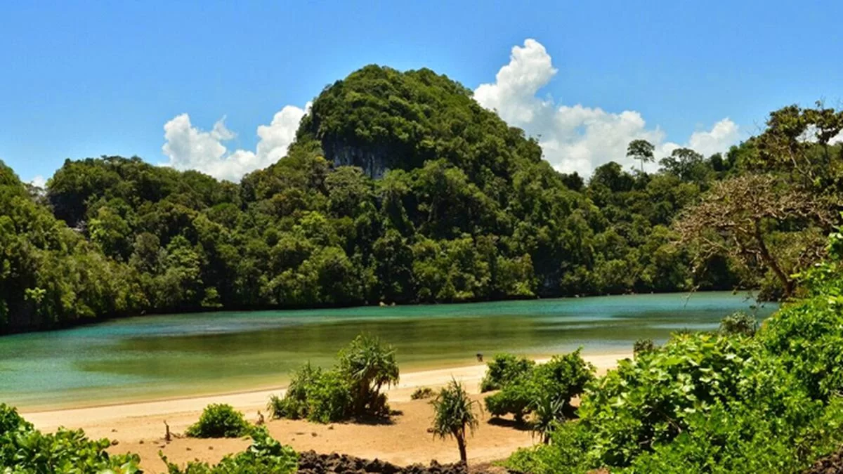 Pulau Sempu Destinasi Wisata Cagar Alam Yang di Lindungi