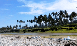 Pantai Bengkenang Tempat Bersantai Terbaik Di Bengkulu