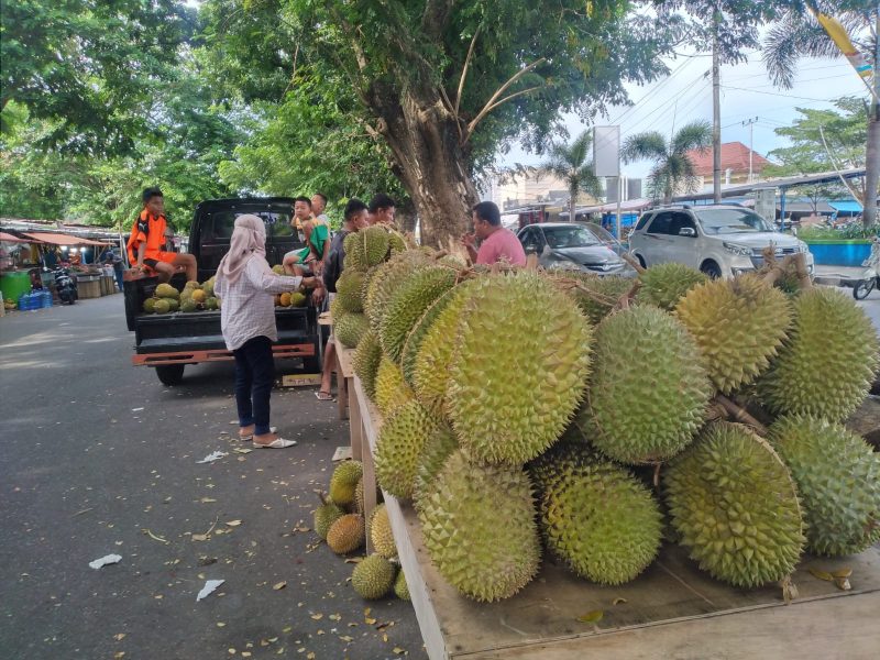 durian sidikalang