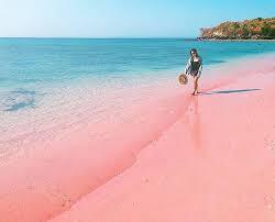 Pantai Pink