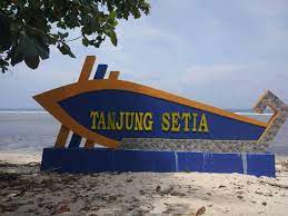 Pantai Tanjung Setia Ombak Buruan Peselancar 