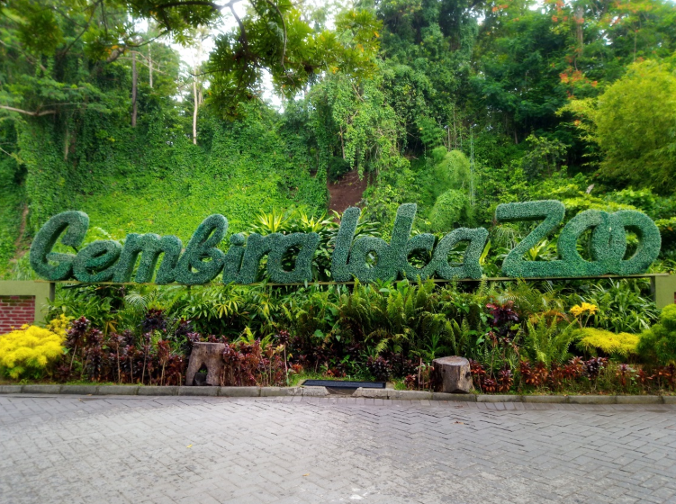 Wisata Hewan Gembira Loka di Yogyakarta