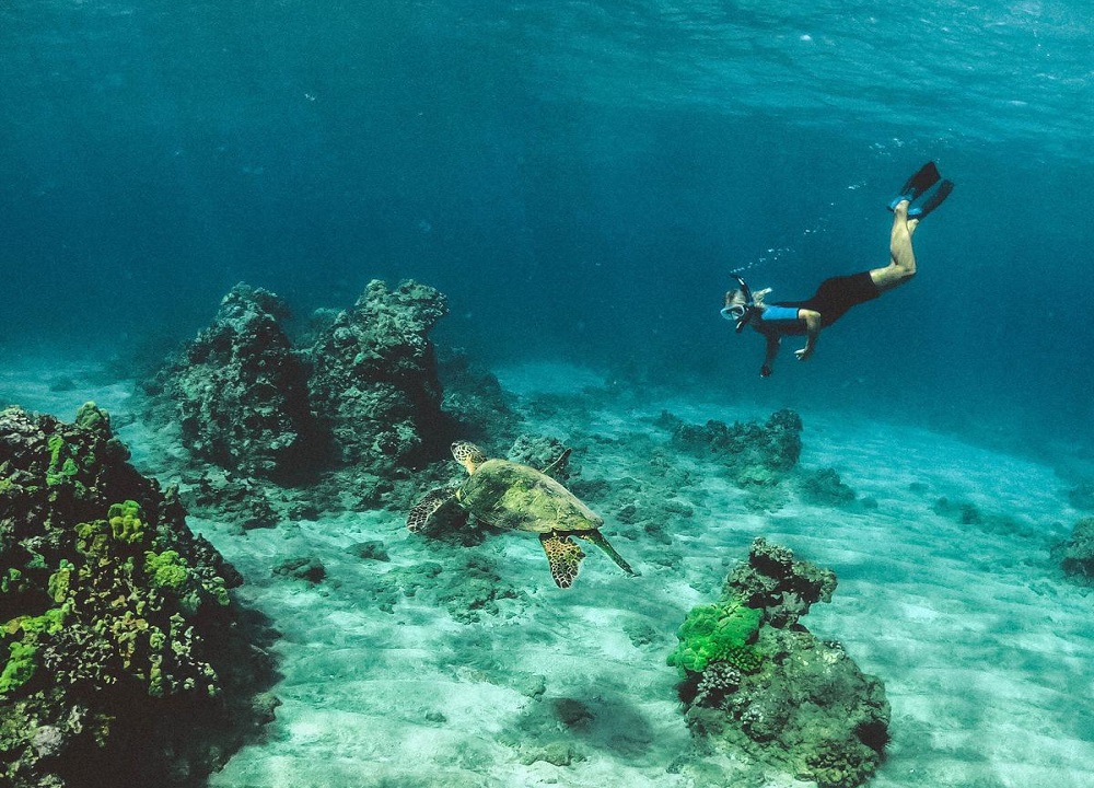 Gosong Senggora Destinasi Wisata Bahari Menarik - pemandangan alam bawah laut yang indah