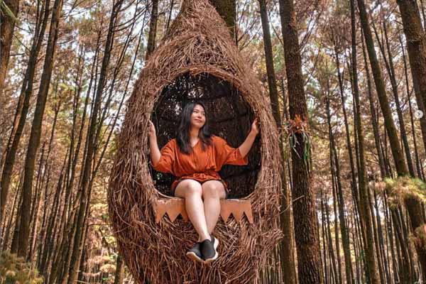 Wisata ke Hutan Pinus Sentul Bogor