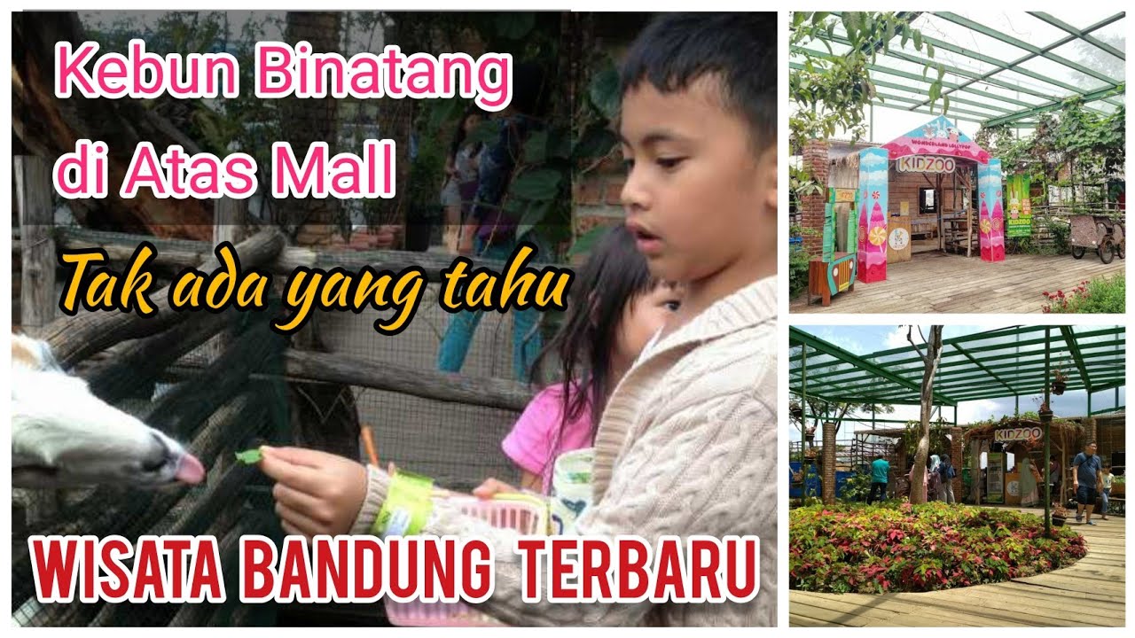 Kebun Binatang Mini Paris Van Java Bandung Rekomendasi Tempat Wisata