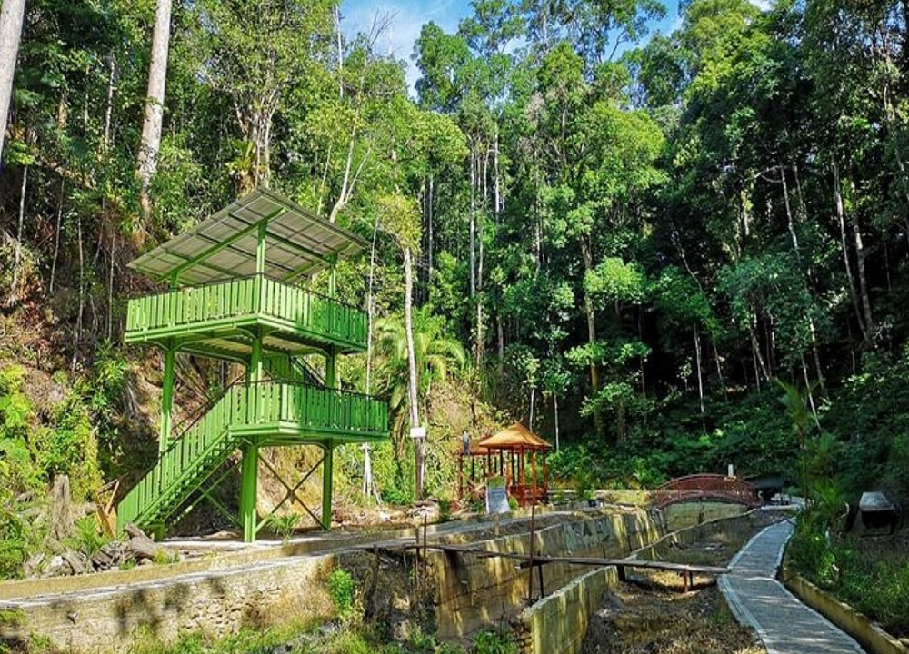 Lokasi Wisata Hits Di Kalimantan Utara 2023 - Kebun Raya Binusan
