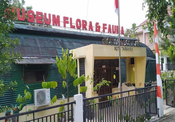 Wisata Museum Tarakan - Museum Flora Dan Fauna