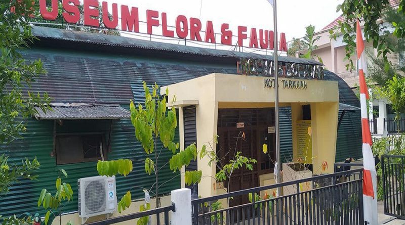 Wisata Museum Tarakan - Museum Flora Dan Fauna
