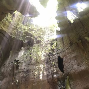 Gua Kelelawar Bukit Lawang