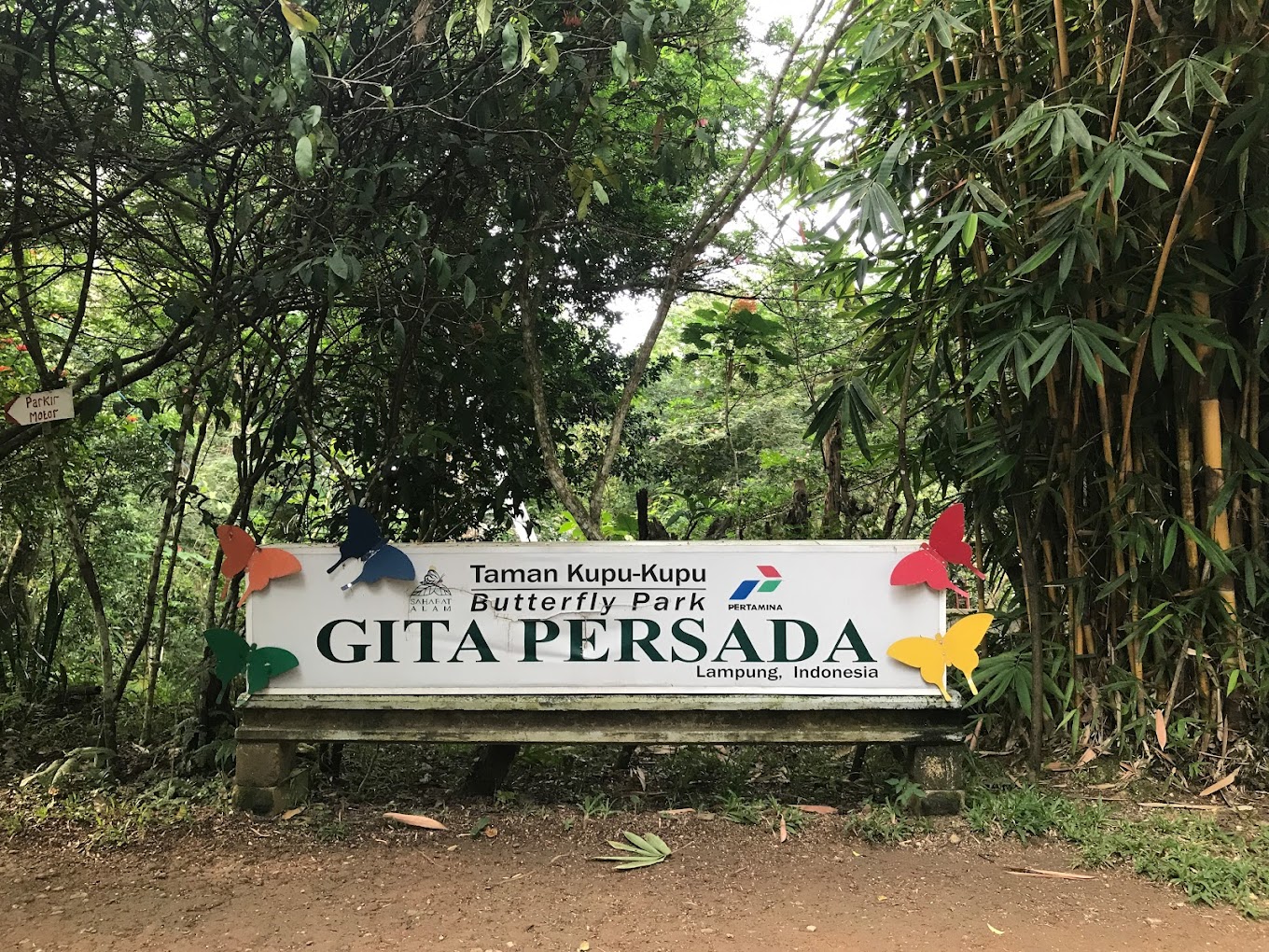 Cantiknya KupuKupu di Taman Kupu Gita Persada