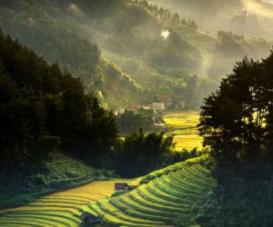Top view of Rice terraced fields on Mu Cang Chai District, YenBai province, Northwest Vietnam